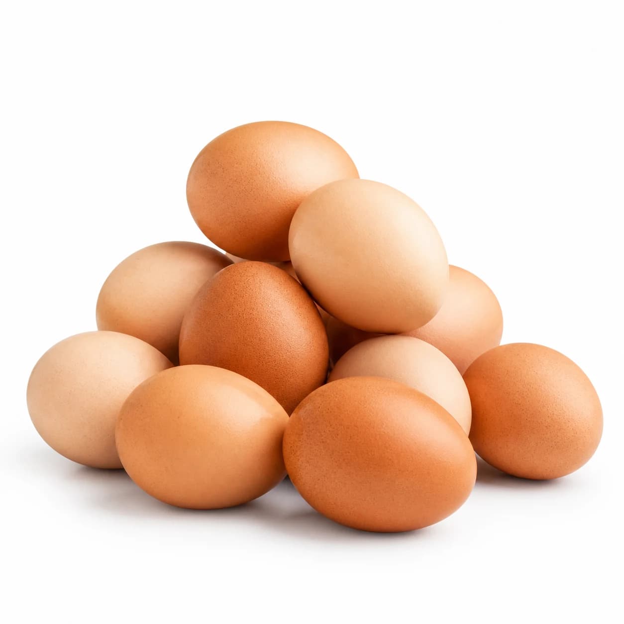 HUEVOS DE CAMPO