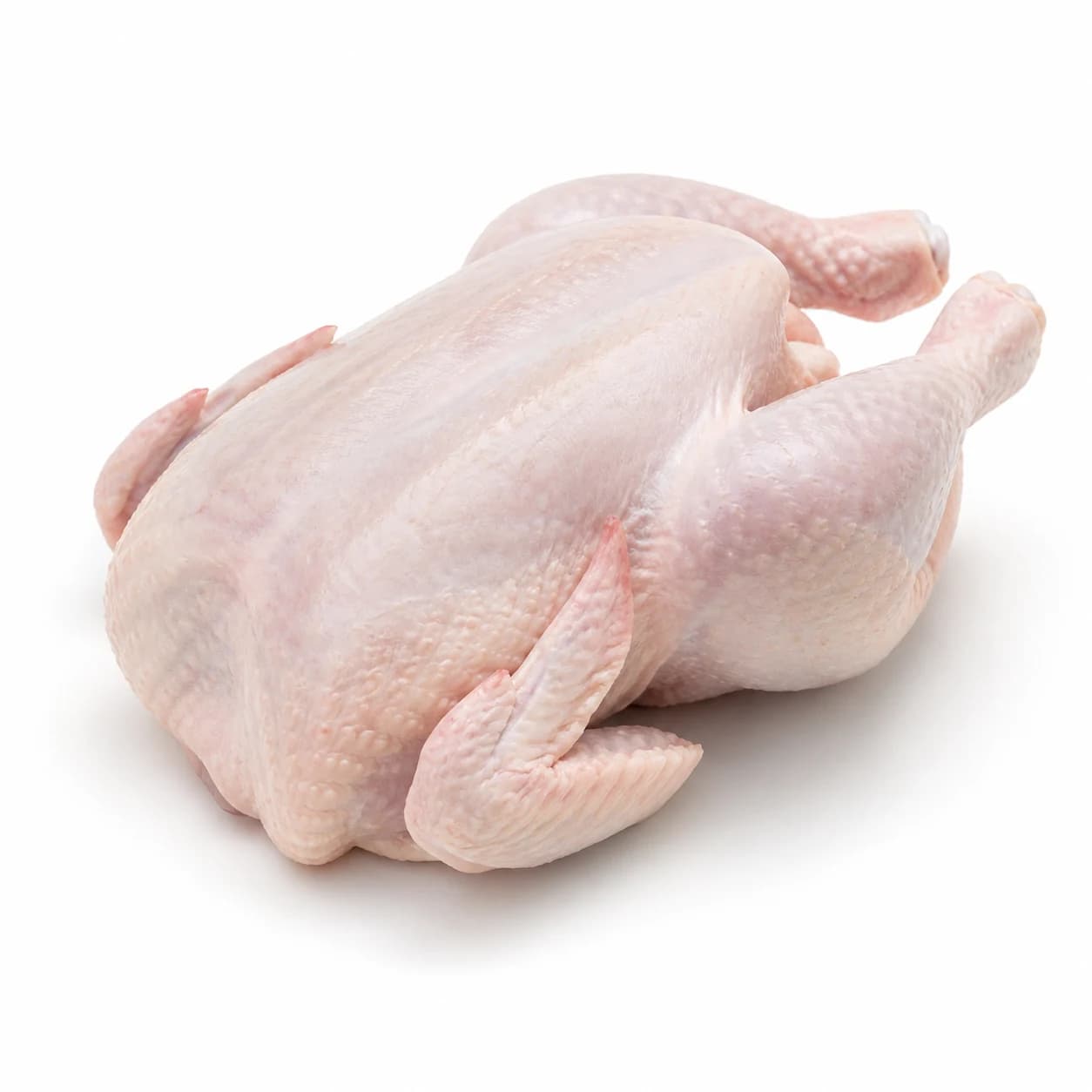 GALLINAS