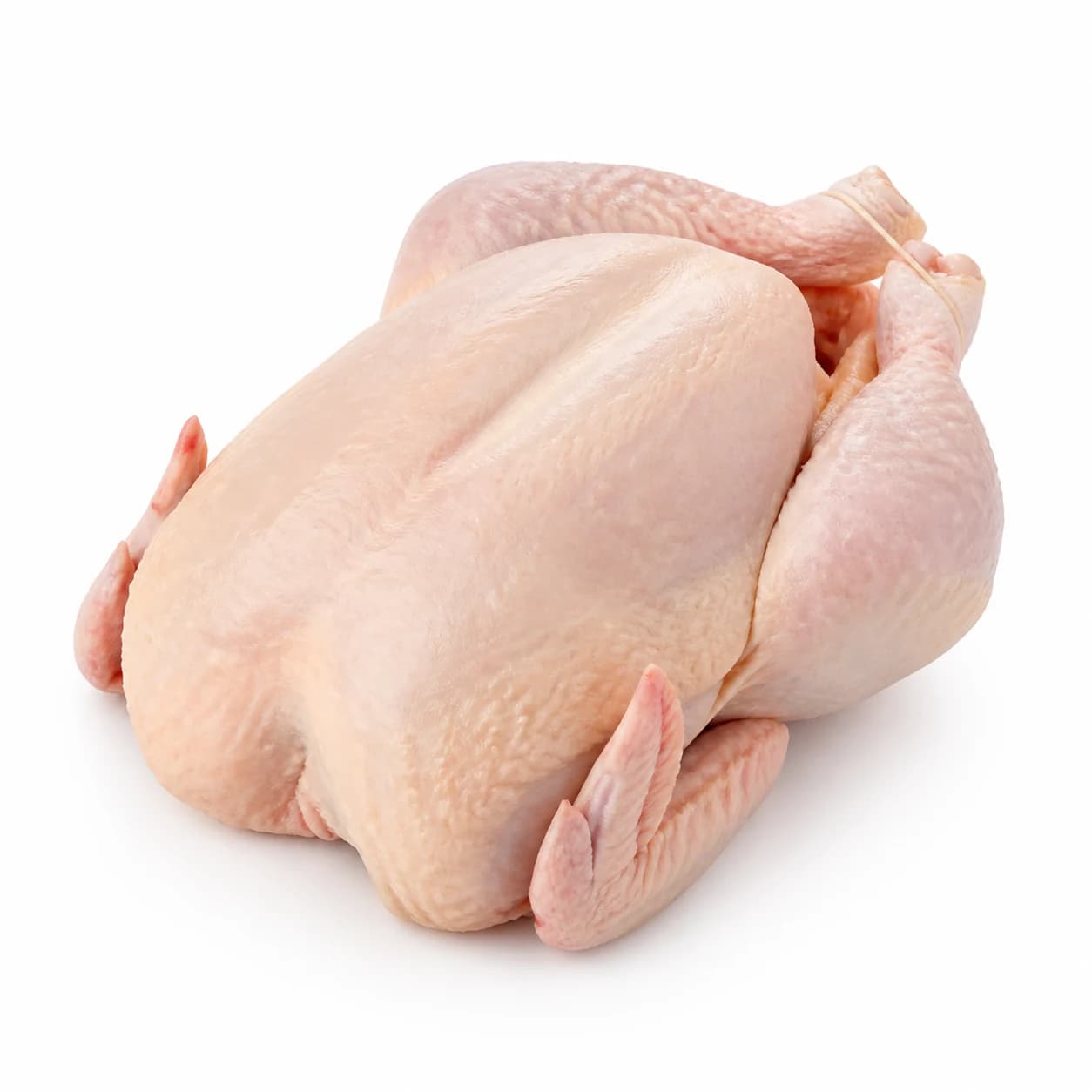 GALLINAS GIGANTES