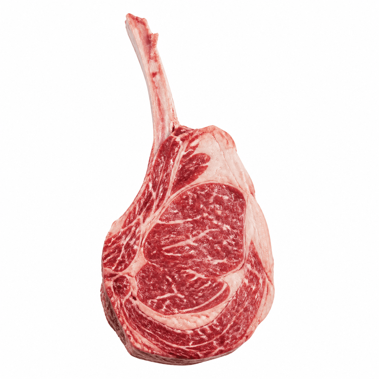 Tomahawk